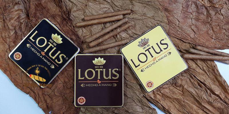 Xì gà Việt phù hợp với người hút nhẹ nhàng.